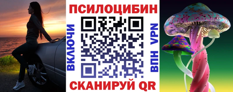 Псилоцибиновые грибы прущие грибы  MEGA ссылка  Сургут  как найти закладки 
