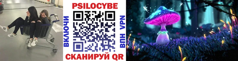 Галлюциногенные грибы Cubensis Сургут