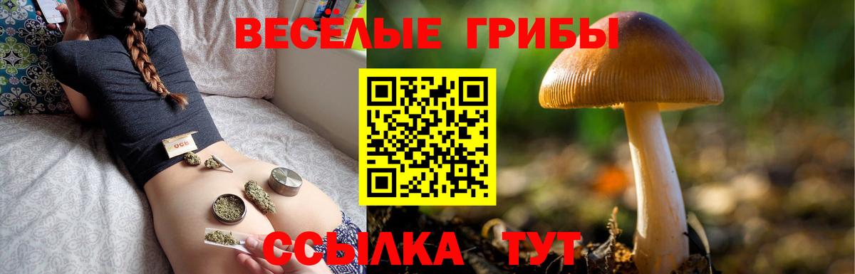 Галлюциногенные грибы мицелий  Вход с VPN  Галлюциногенные грибы Cubensis  где найти   Сургут 