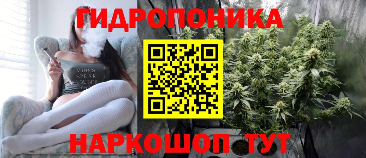 Шишки марихуана Bruce Banner Сургут